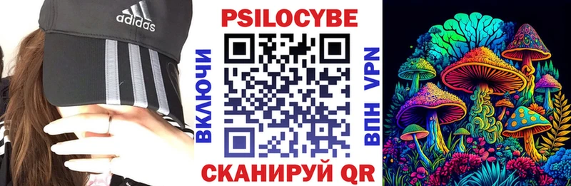 Галлюциногенные грибы ЛСД  где найти наркотики  Каменногорск 