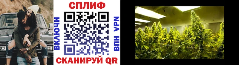 Конопля VHQ  как найти наркотики  Каменногорск 